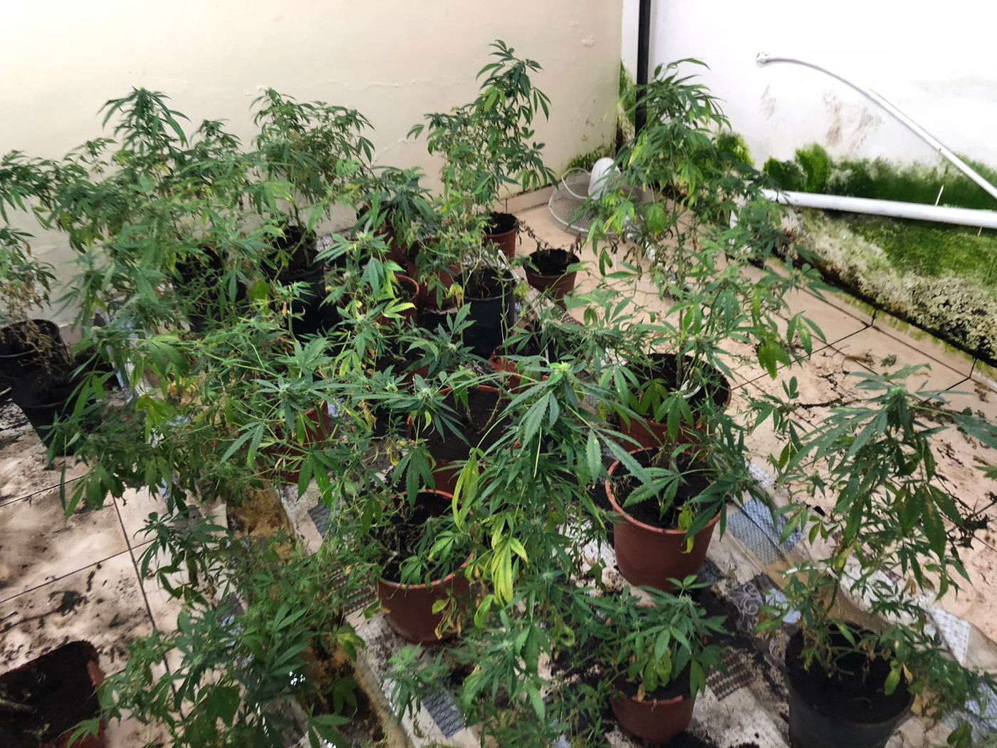 המעבדה שנתפסה