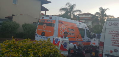 כונני הרפואה מחוץ לבריכה