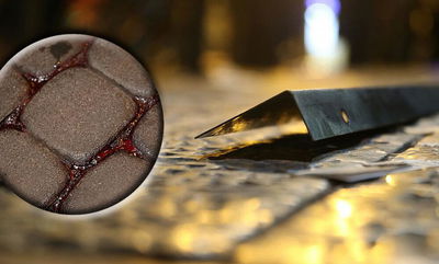 המוט ושלולית הדם