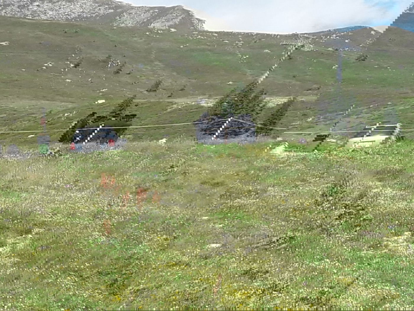 כך נופש האדמו"ר מתולדות אברהם יצחק בעיירה דאבוס בשוויץ • צפו