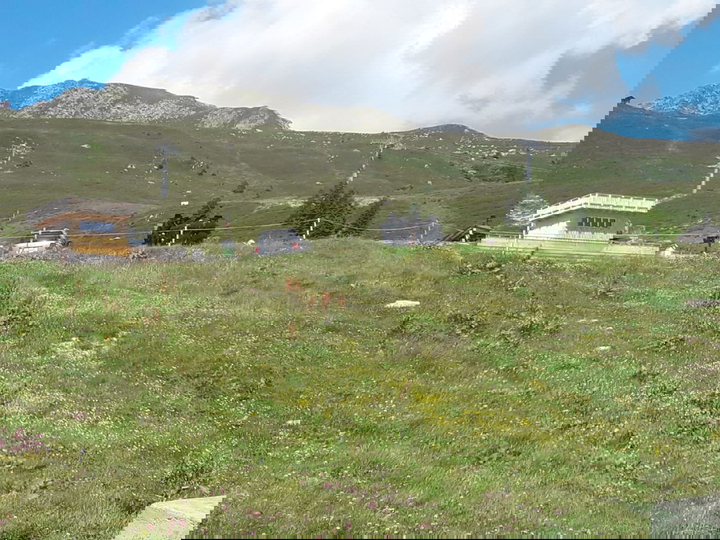 כך נופש האדמו"ר מתולדות אברהם יצחק בעיירה דאבוס בשוויץ • צפו