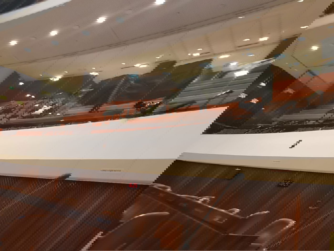 דגלים שחורים הונפו במליאת הכנסת • צפו