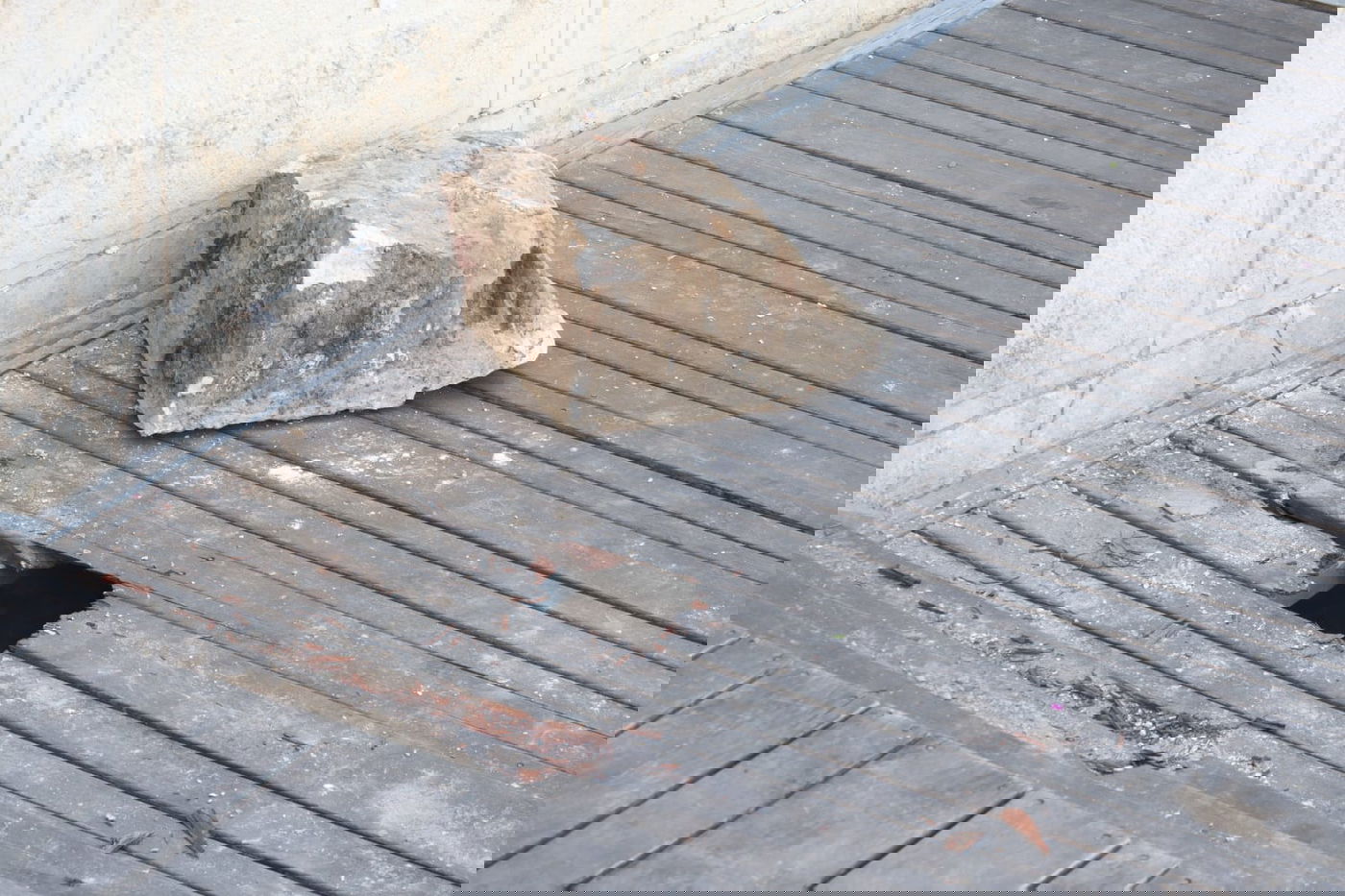 חריג ונדיר: אבן נפלה מהכותל המערבי • צפו