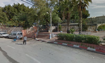 הכניסה לפארק החי. ארכיון