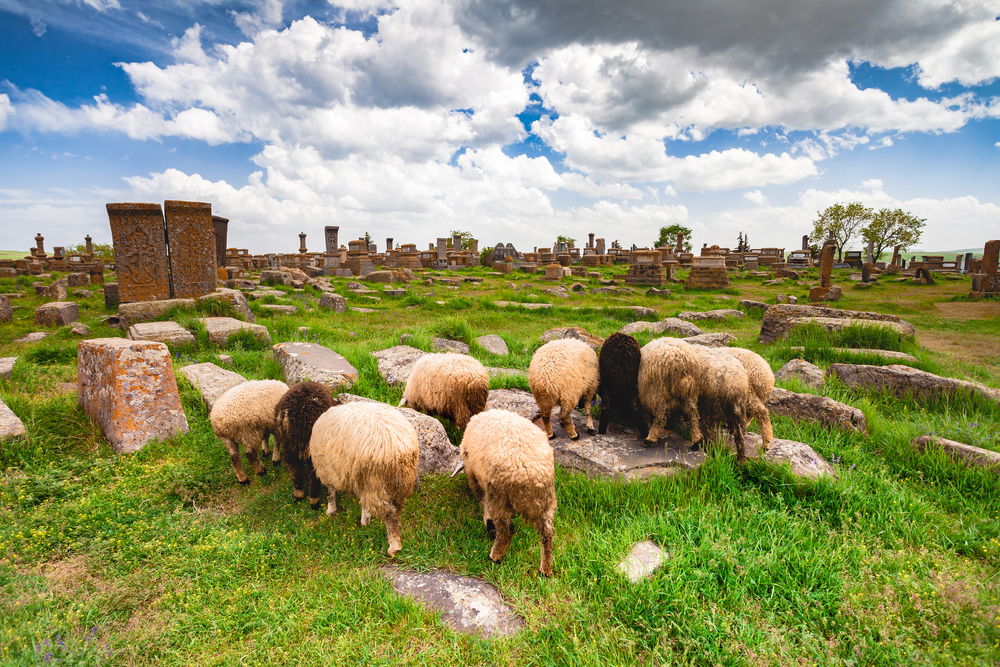 חילול קברים, אילוסטרציה