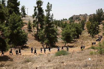 מטיילים חרדים בצפת, היום