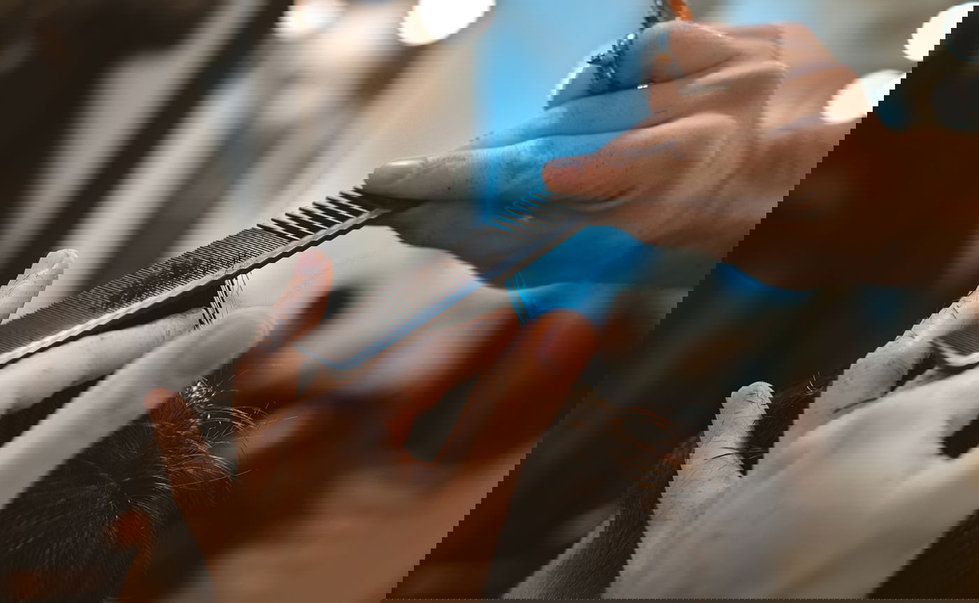 אילוסטרציה