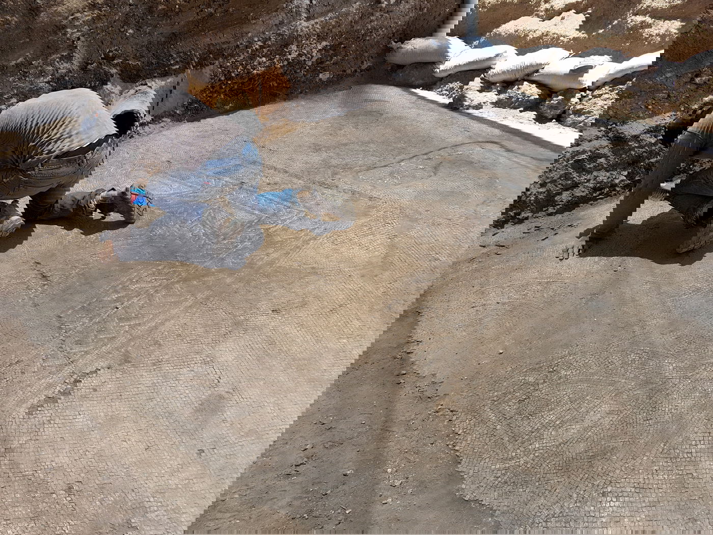 פסיפס צבעוני מרשים נמצא בחפירה בלוד