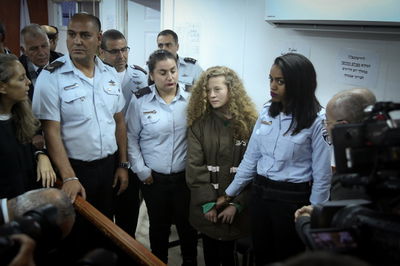 תמימי בבית המשפט