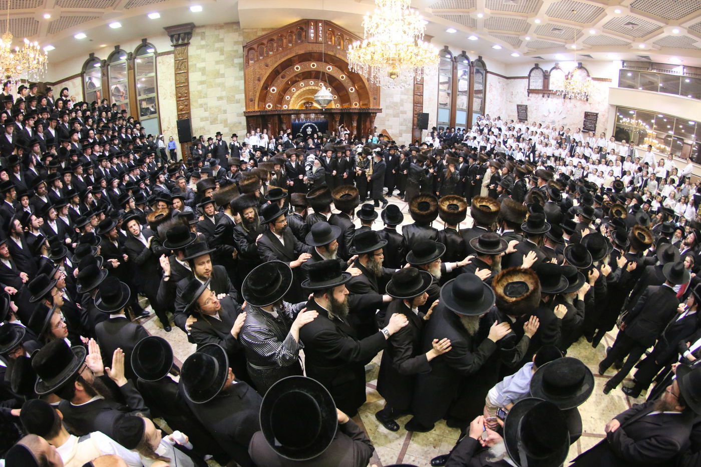 שמחת הכנסת ספר תורה בדושינסקיא • צפו