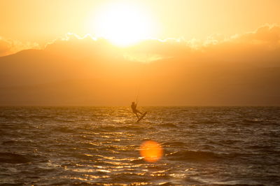 אילוסטרציה