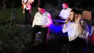 הגראמער התחנן לליפא: מתגעגעים לשירים הישנים שלך