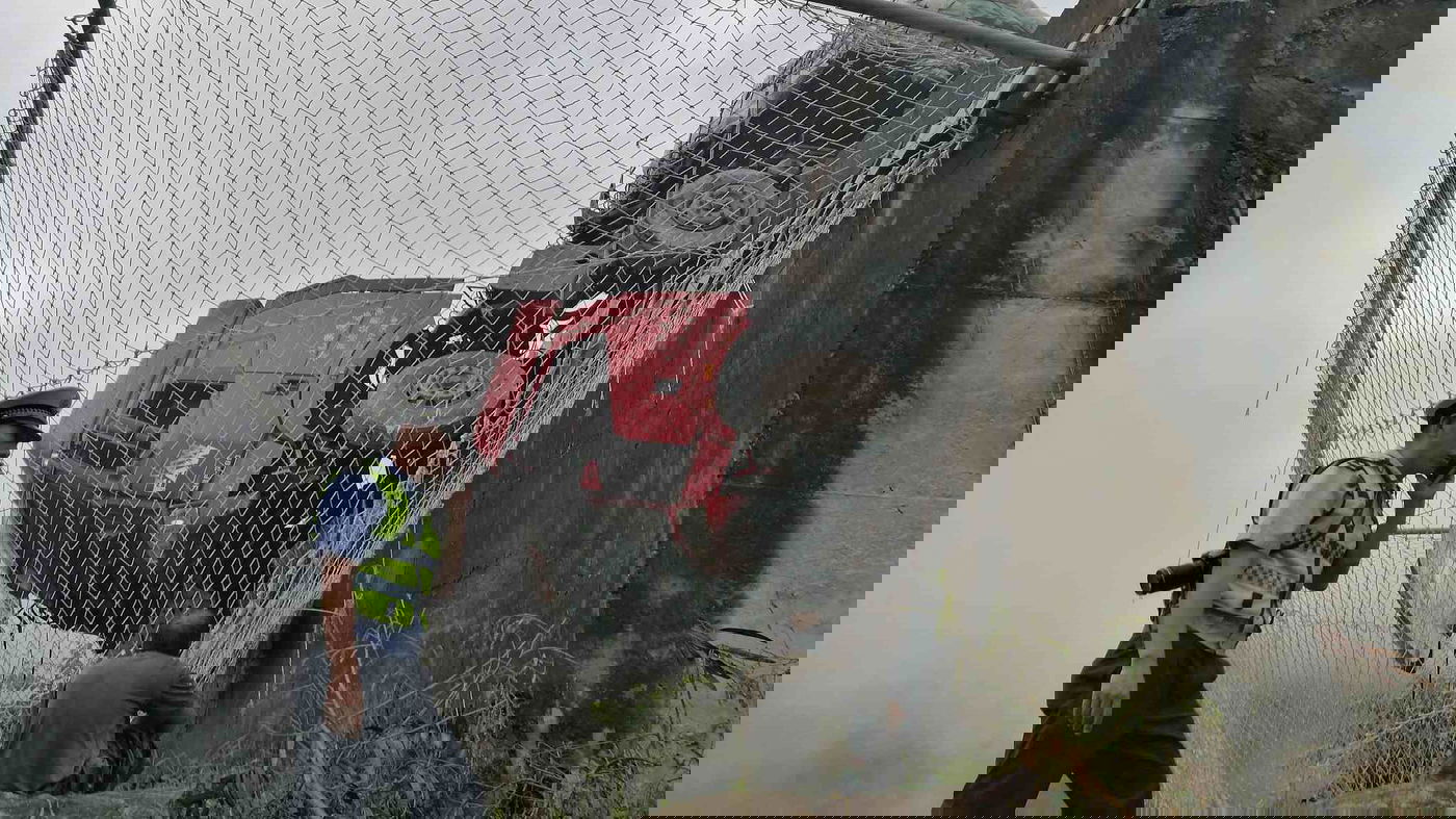 1,000 תאונות, 100 הרוגים ורשת אחת • צפו