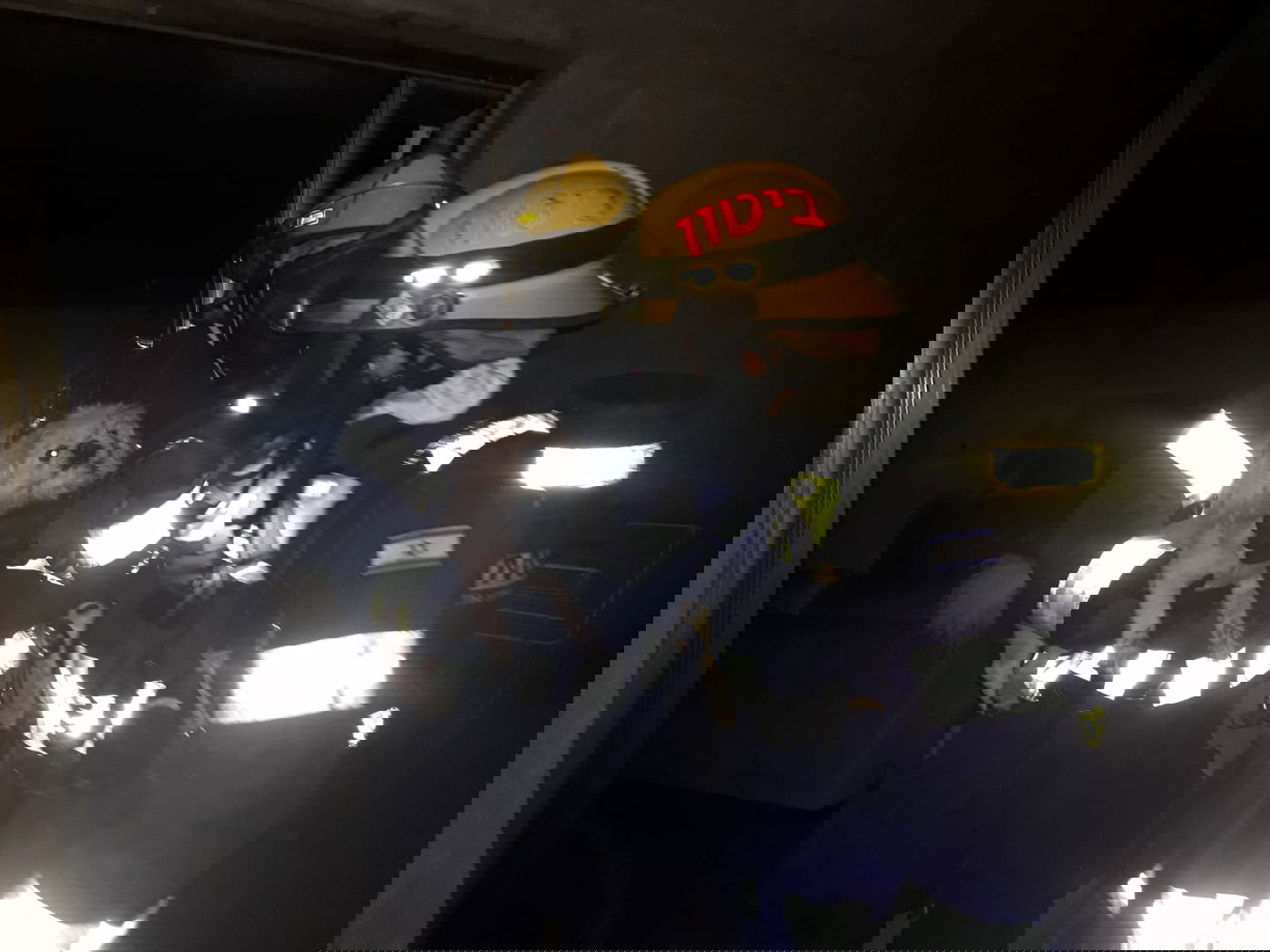 לוחמי האש חילצו את הכלב מבין הלהבות