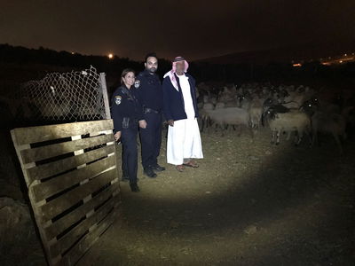 השוטרים ובעל העדר