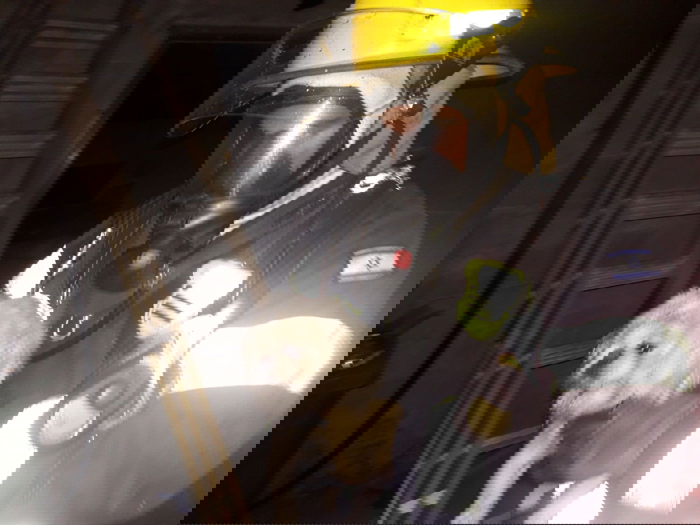 לוחמי האש חילצו את הכלב מבין הלהבות