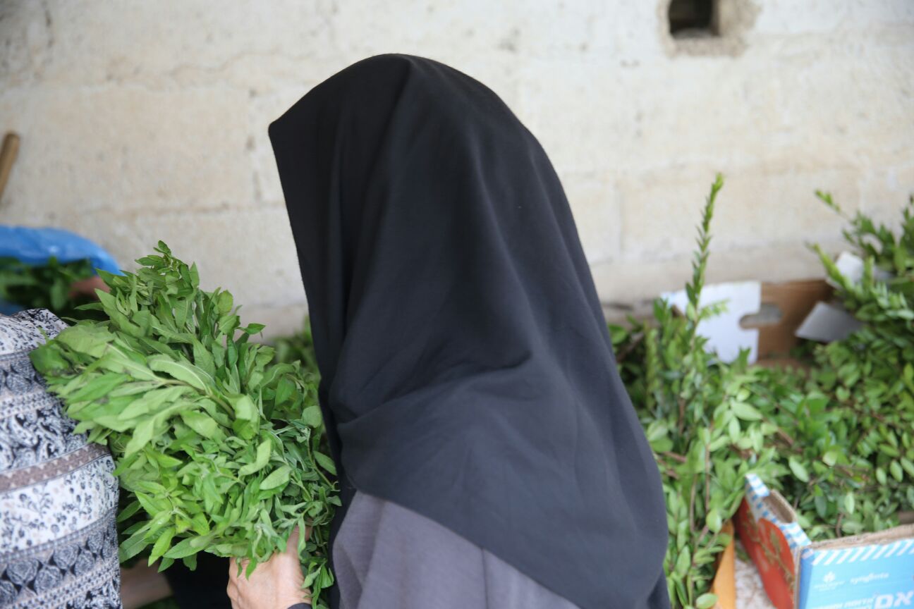 בשכונת הבוכרים: כך נערכים לשבת קודש