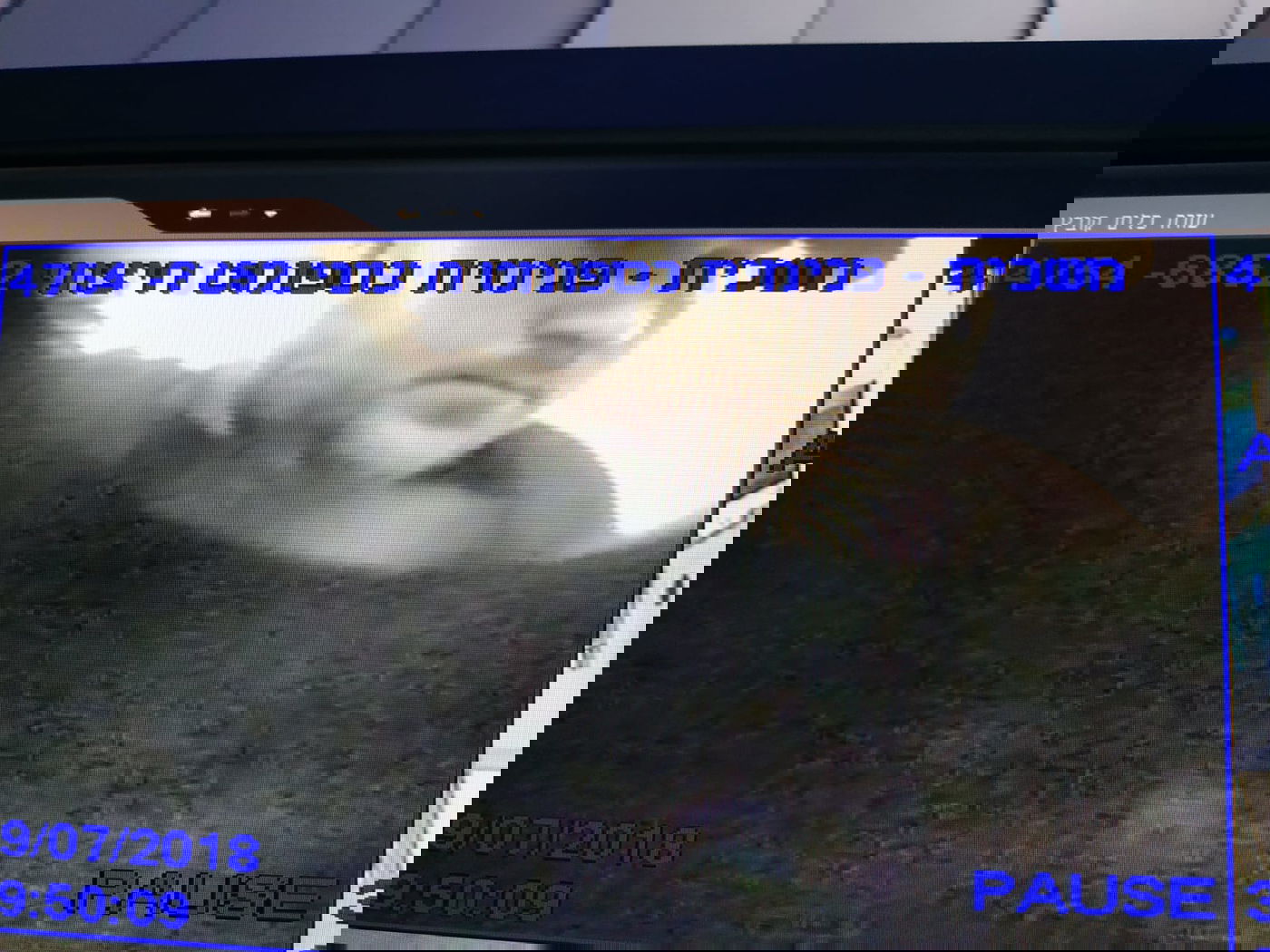 תיירות פשע: שני תיירים מגיאורגיה נעצרו