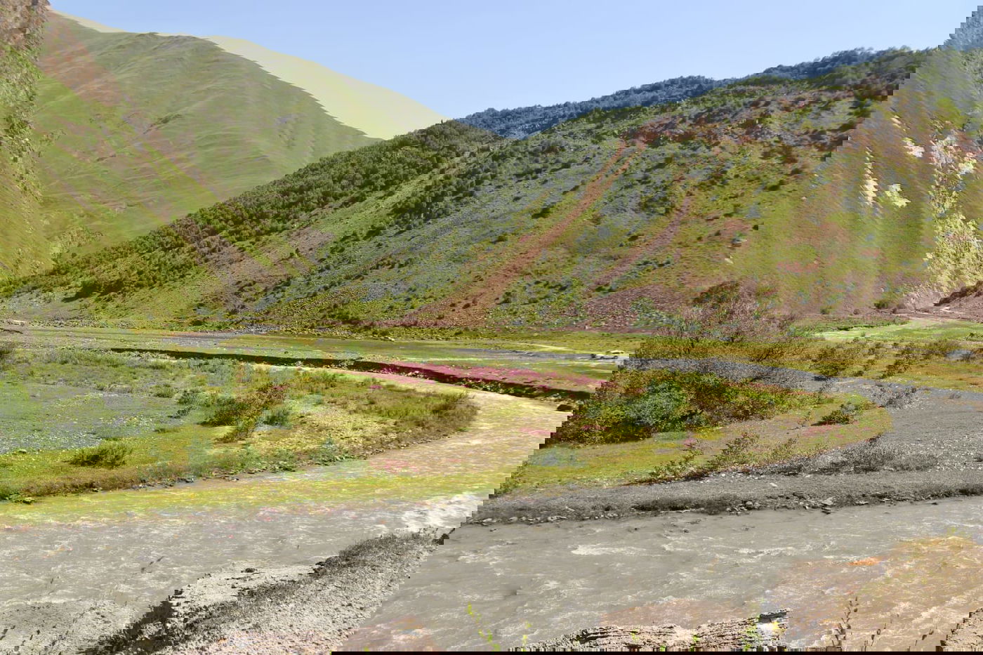 טיול בגיאורגיה דרך עדשת המצלמה • צפו