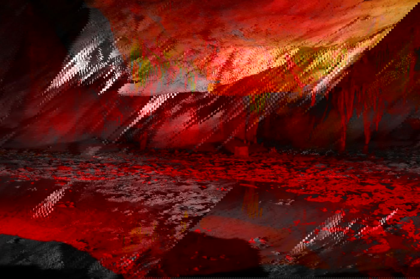 טיול בגיאורגיה דרך עדשת המצלמה • צפו