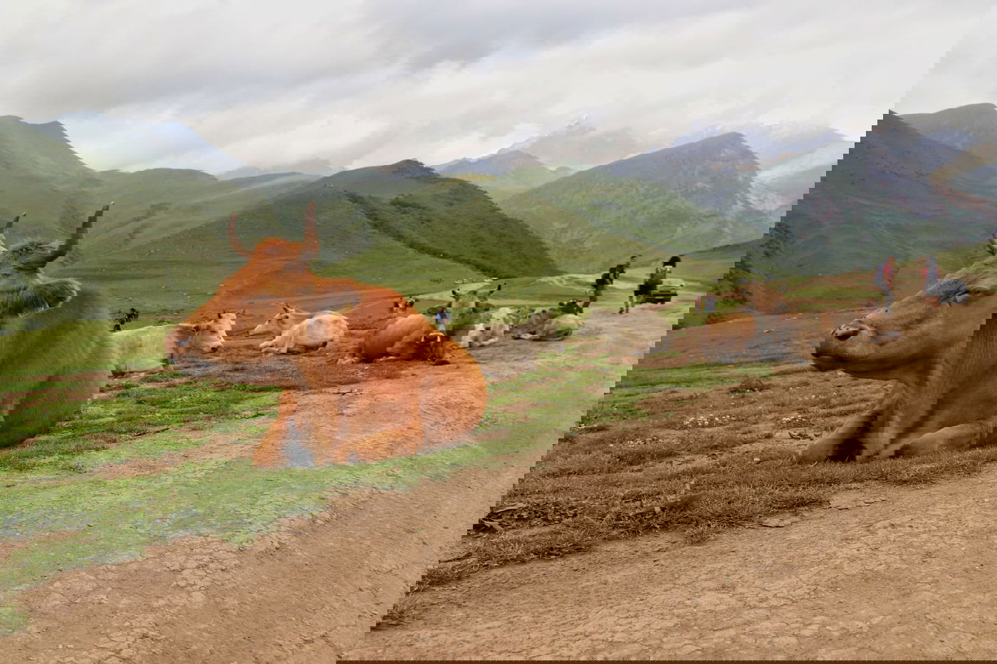 טיול בגיאורגיה דרך עדשת המצלמה • צפו