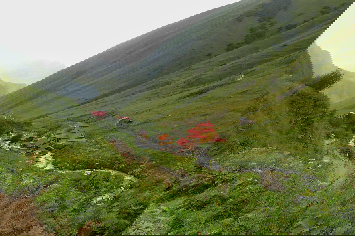 טיול בגיאורגיה דרך עדשת המצלמה • צפו