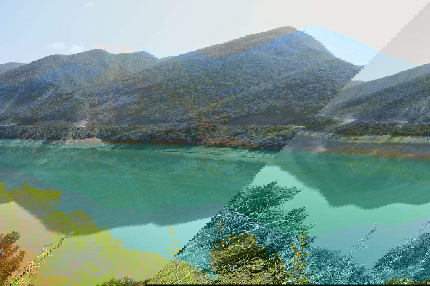 טיול בגיאורגיה דרך עדשת המצלמה • צפו