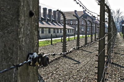 מחנה ההשמדה אושוויץ