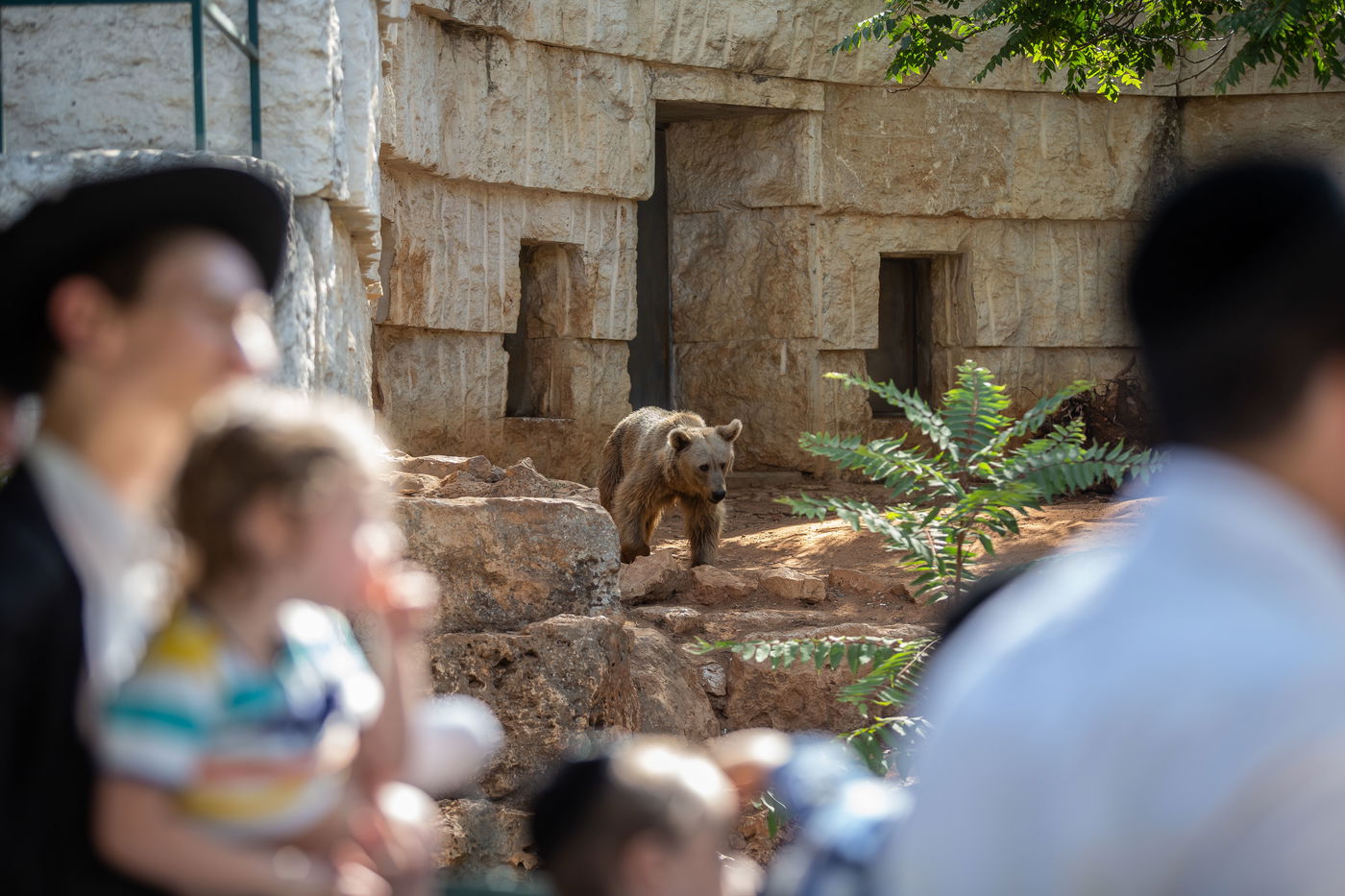 משפחות חרדיות מבלות בגן החיות • תיעוד
