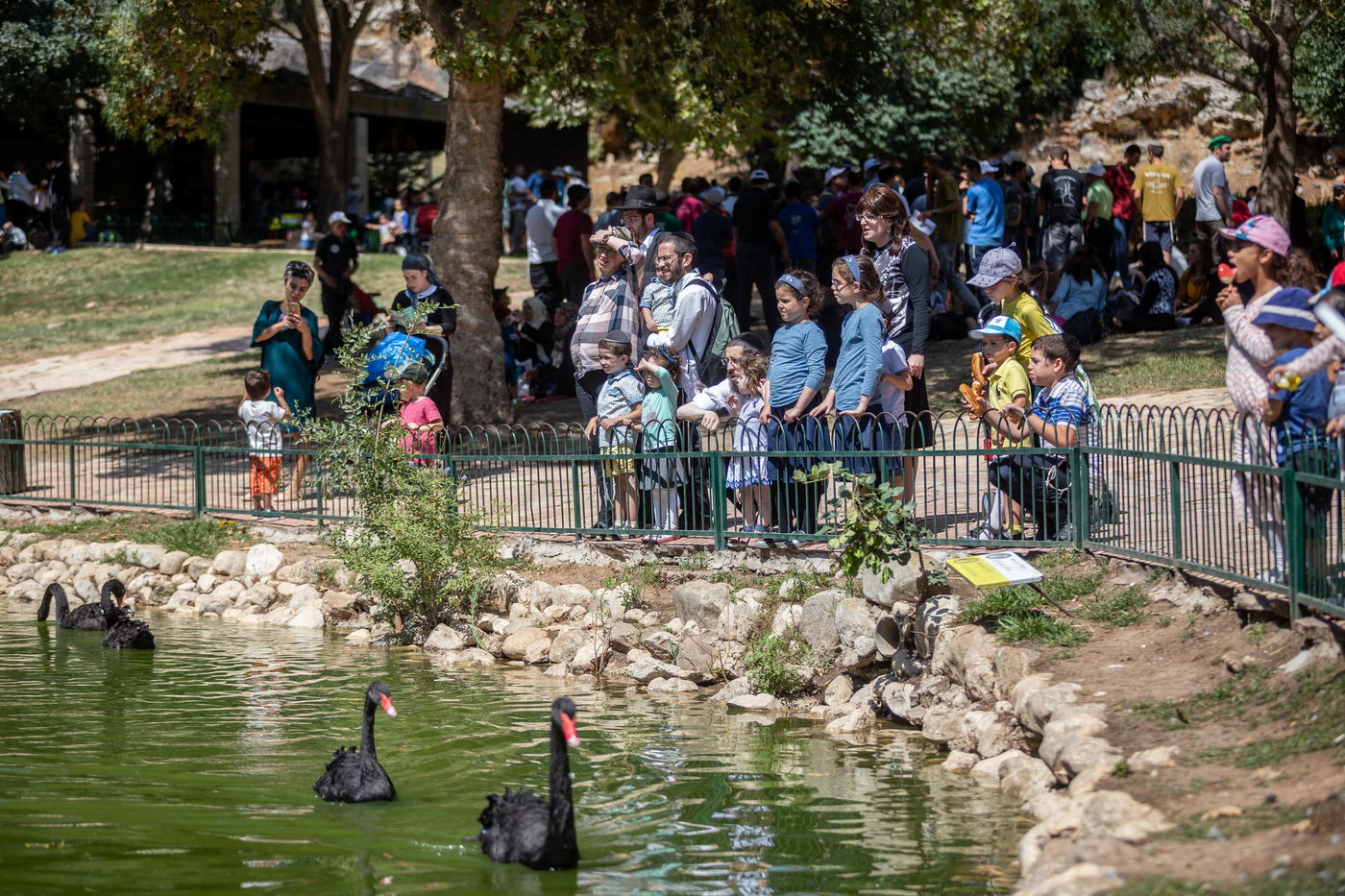 משפחות חרדיות מבלות בגן החיות • תיעוד