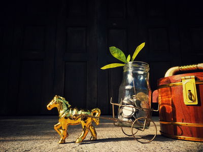 גם חיסכון וגם פריט נוי לבית. אתם עוד מתלבטים?