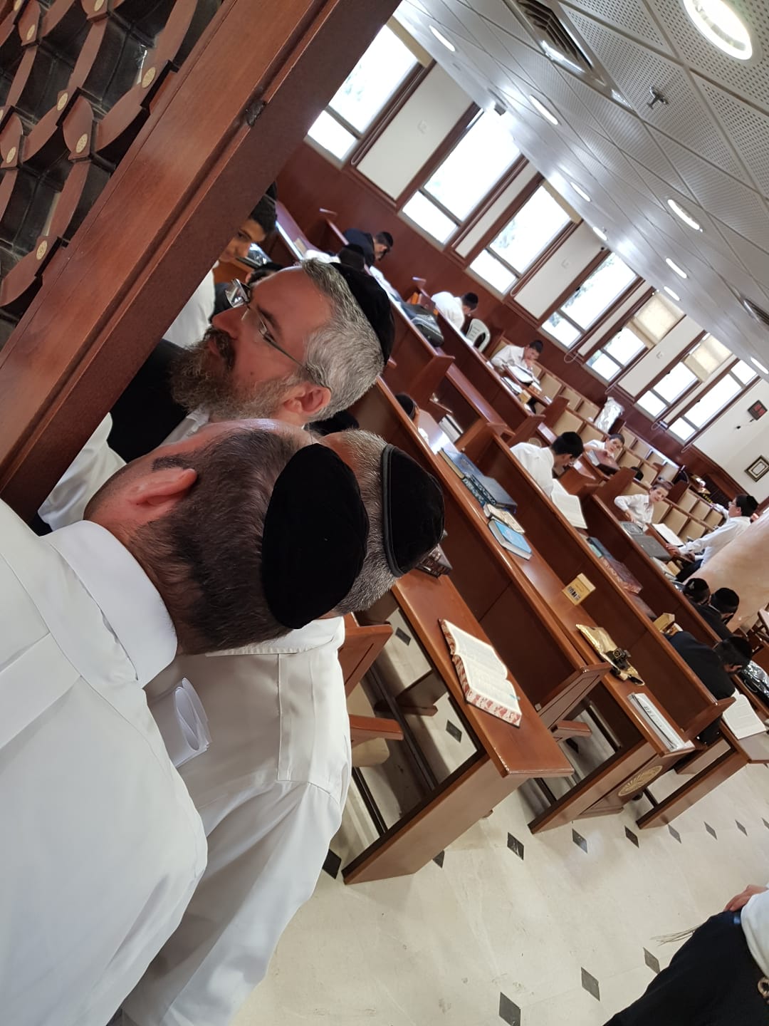 אבוטבול עם שני נציגים מ'דגל', הבוקר