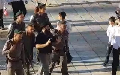 תיעוד מעצר החשוד