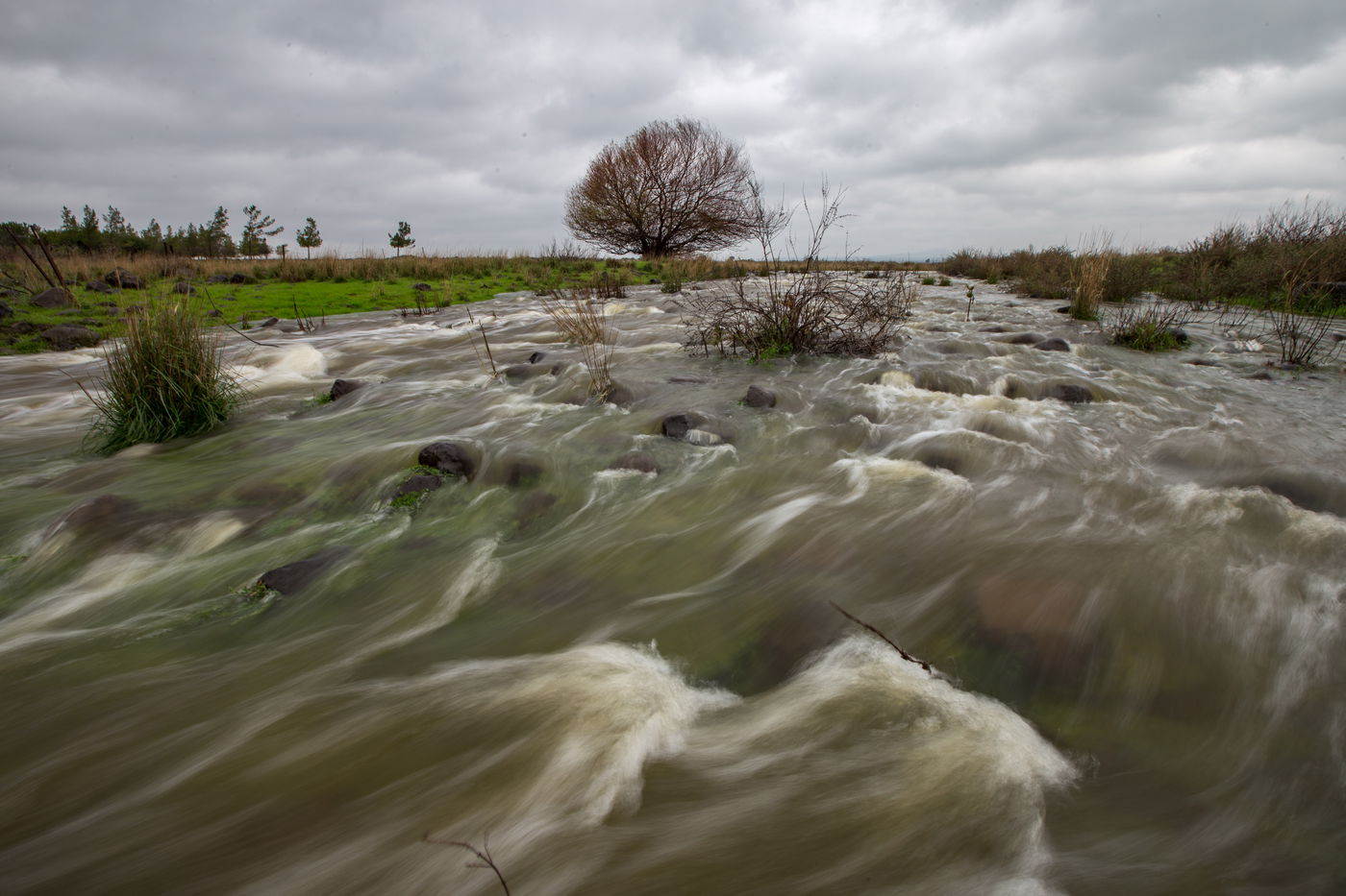נחל היהודיה