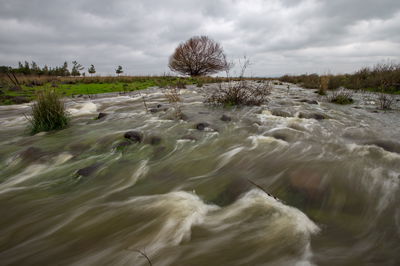 נחל היהודיה