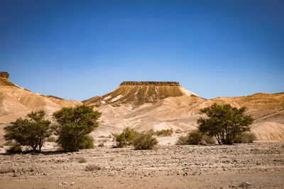 טיול מצולם לנוף המרהיב של מכתש רמון