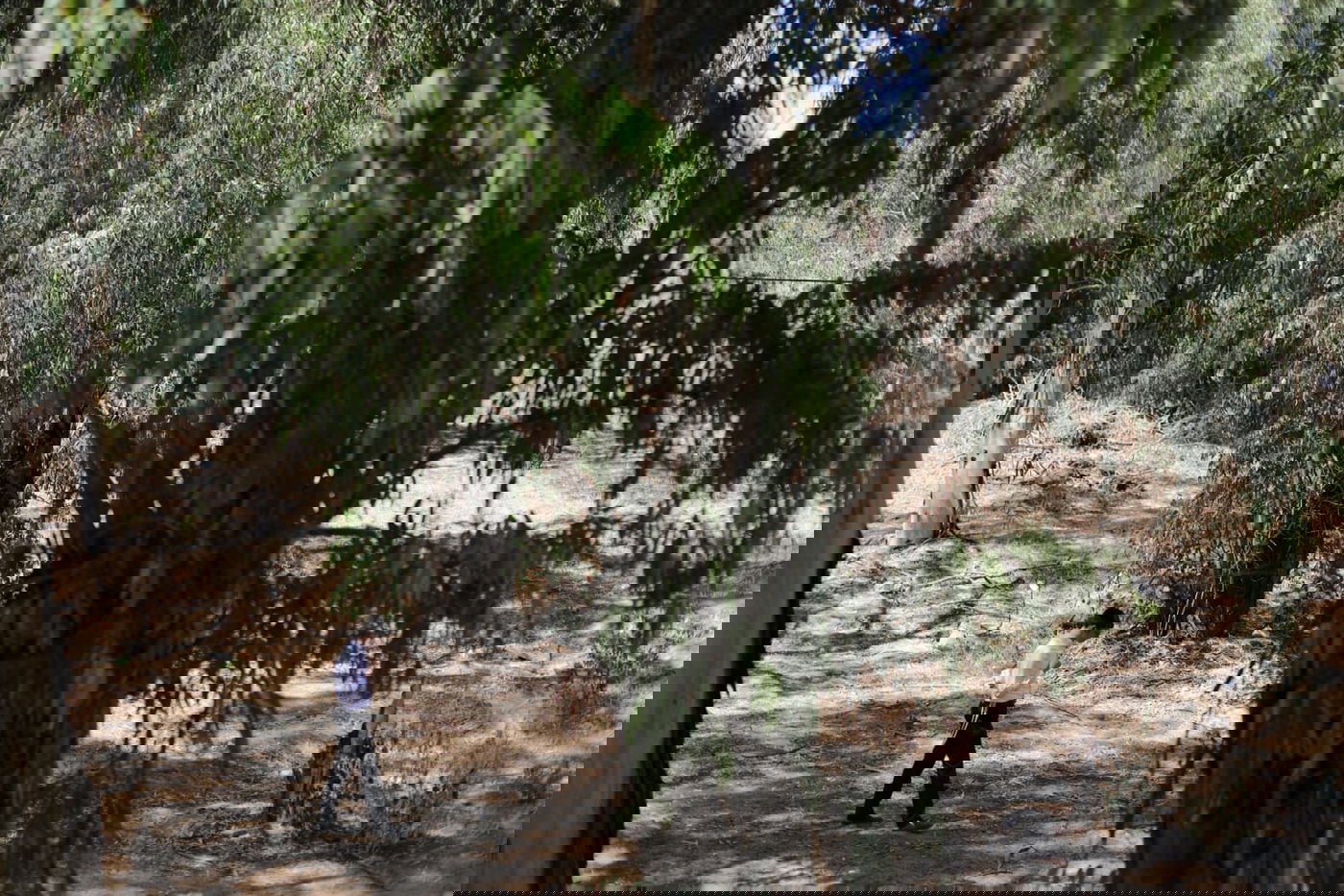 א-ל-ו-ל ב"עטרת שלמה": כך פתחו את הזמן