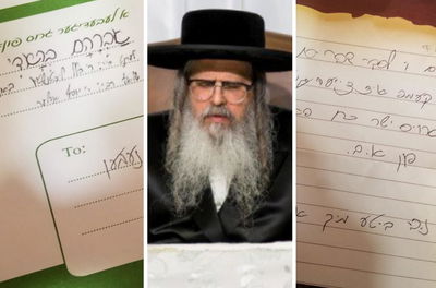 האדמו"ר מסטאמר, ארכיון