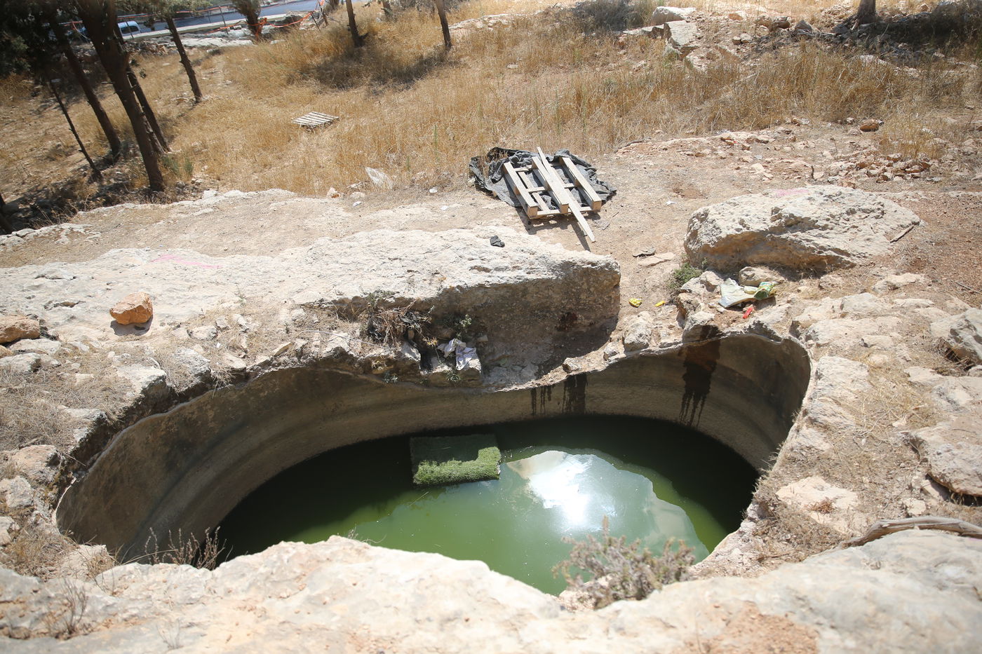 המקווה שהנערים ארגנו לעצמם ליד ה'רכס'