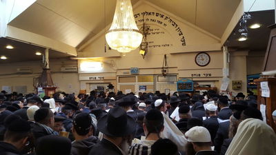 מתפללים באומן