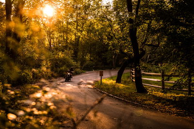 כביש בהרי הקאטסקילס