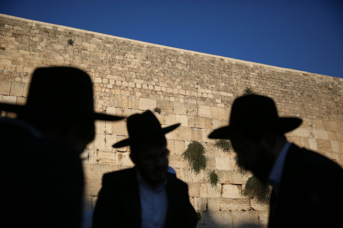 תיעוד מיוחד: הגאון רבי יצחק שיינר בכותל