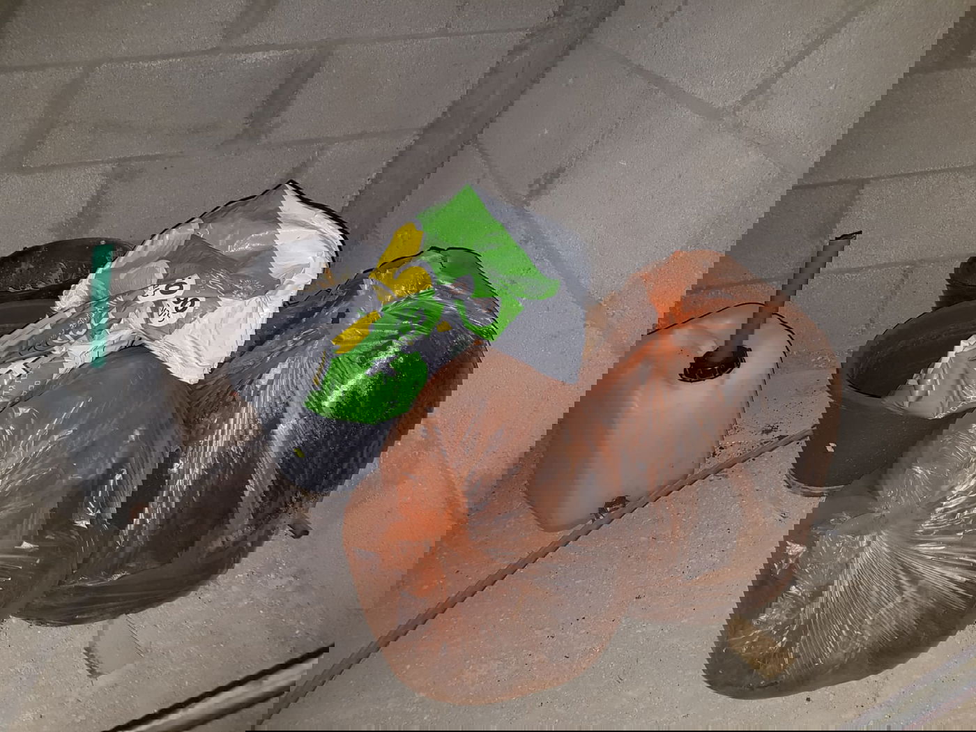 שוטרים חשפו עסק משפחתי לגידול סמים