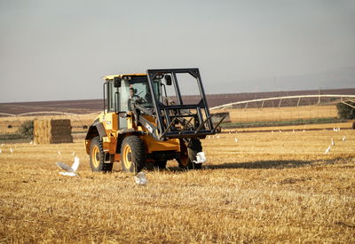 איסוף ערמות חציר