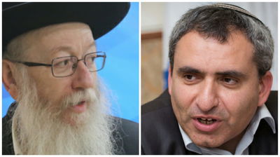 ליצמן דורש מאלקין: להגביר הדברת יתושים