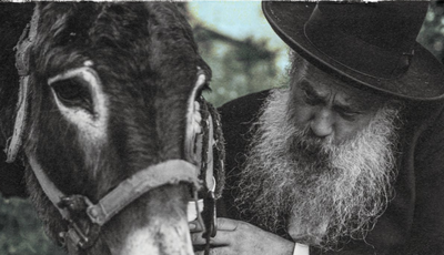 שולי רנד הוציא את אלבומו השני: רצוא ושוב