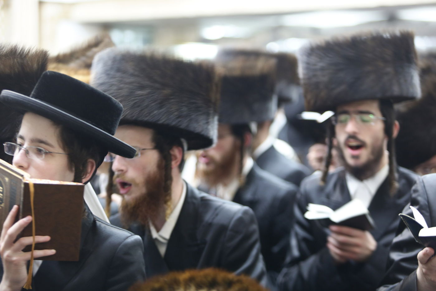 הסליחות הראשונות בחצר הקודש פינסק קרלין • גלריה