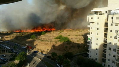 אילוסטרציה