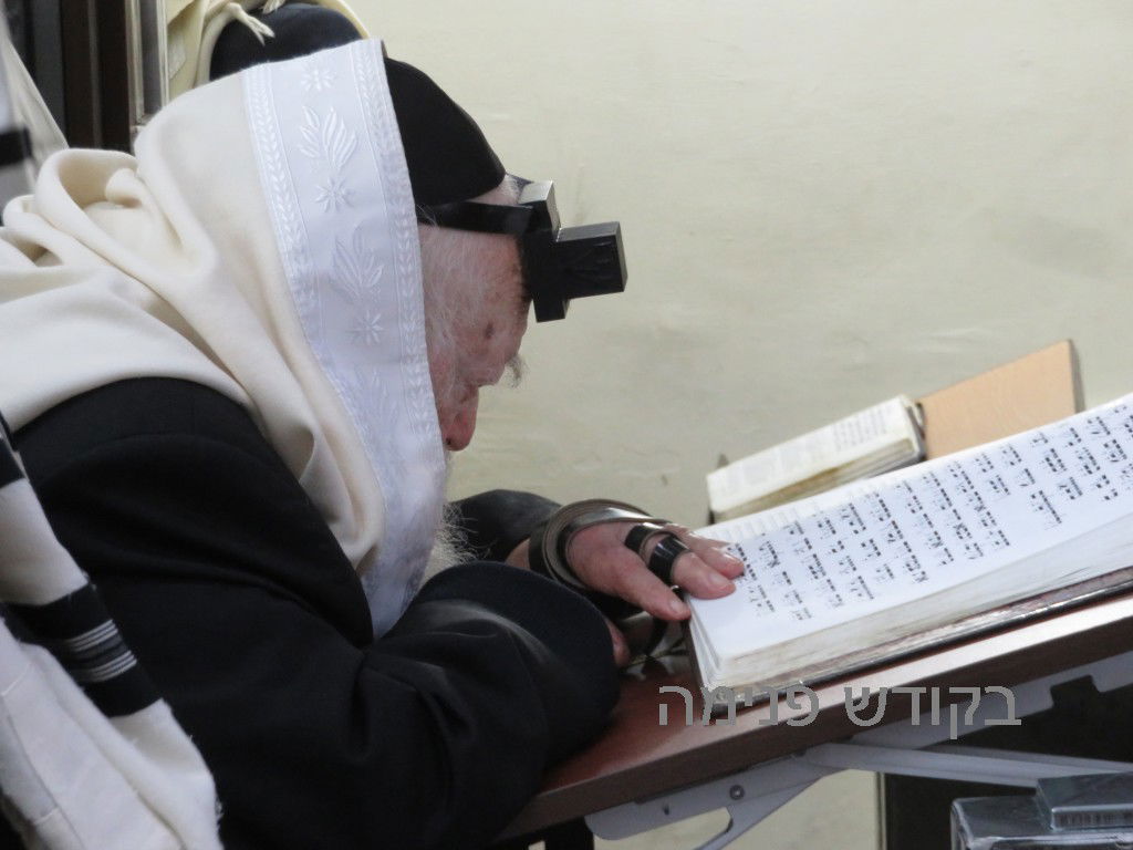 הסליחות הראשונות של מרן שר התורה. צפו