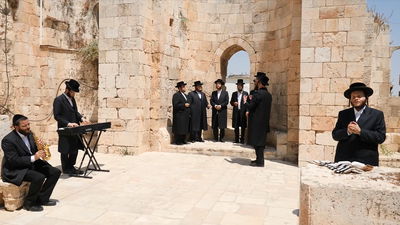 זאנוויל ויינברגר, פנחס ביכלר ומלכות • צפו